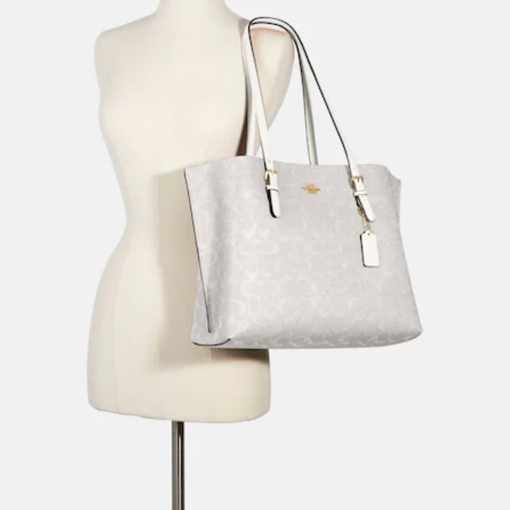 Coach Purse New With Tags